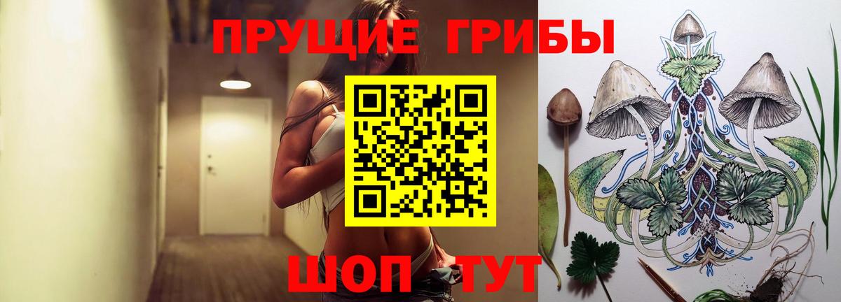 Кизляр  купить наркотик  Вход с VPN  Псилоцибиновые грибы мицелий 